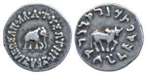 Indo Greeks, Apollodotus I (160-150 BC), Silver Drachma, 2.03g, obv. an Indian elephant st